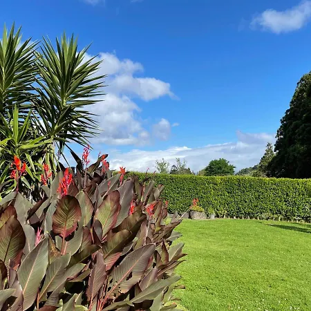 Hébergement de vacances Casa Do Bicho Pau