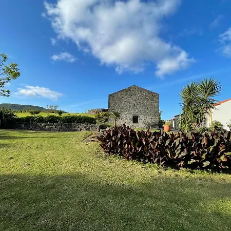 Casa Do Bicho Pau Pedro Miguel