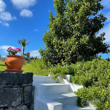 Casa Do Bicho Pau Hébergement de vacances *