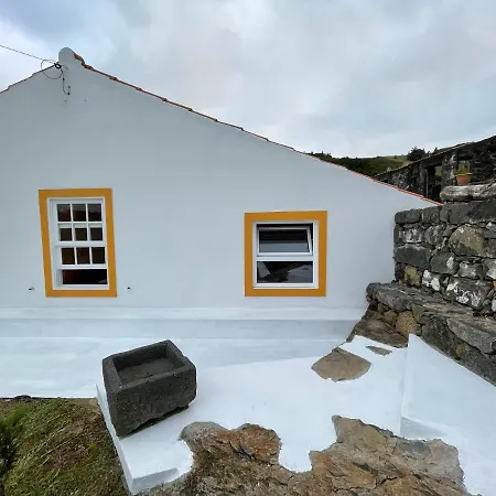 Casa Do Bicho Pau Pedro Miguel