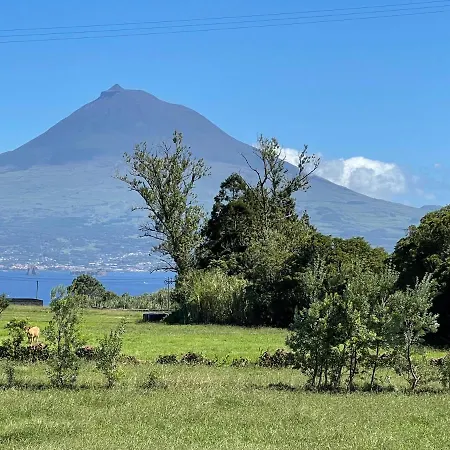 Casa Do Bicho Pau Holiday home