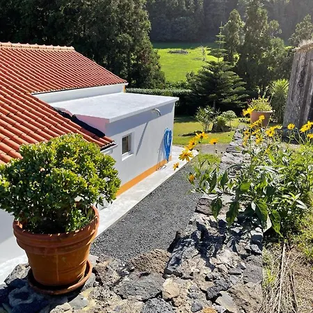 Casa Do Bicho Pau * Pedro Miguel