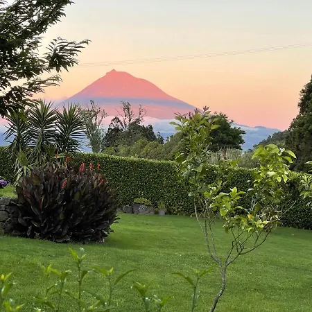 Hébergement de vacances Casa Do Bicho Pau *