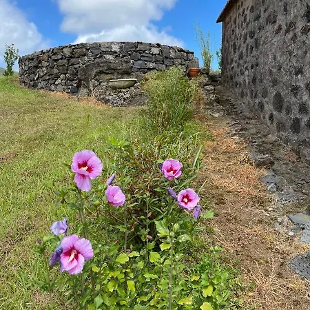 بيت للعطل Casa Do Bicho Pau