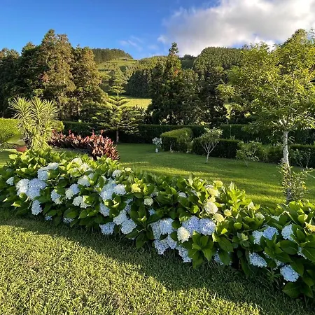 Hébergement de vacances Casa Do Bicho Pau Pedro Miguel
