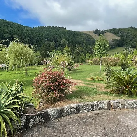Casa Do Bicho Pau Pedro Miguel