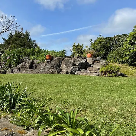 Casa Do Bicho Pau * Pedro Miguel