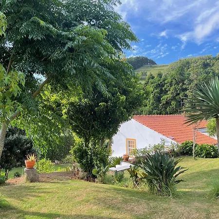 Casa Do Bicho Pau Pedro Miguel