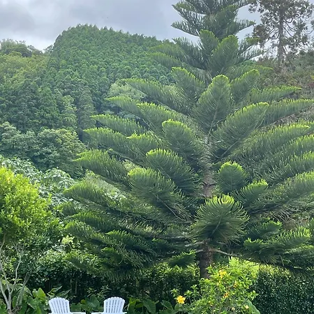 بيت للعطل Casa Do Bicho Pau Pedro Miguel