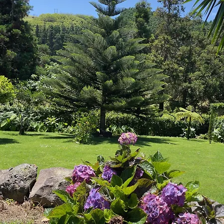 Casa Do Bicho Pau Pedro Miguel