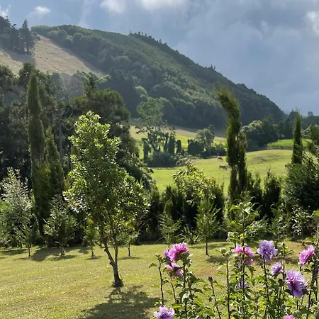 Holiday home Casa Do Bicho Pau *