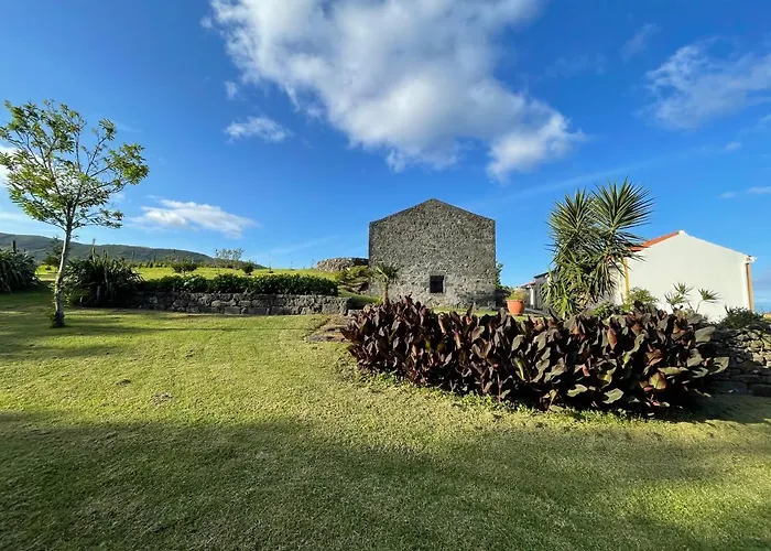 Casa Do Bicho Pau Pedro Miguel