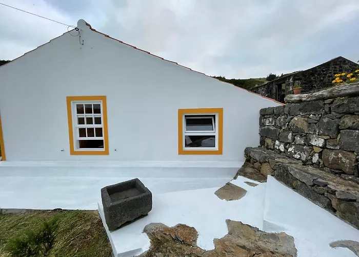 Casa Do Bicho Pau Pedro Miguel