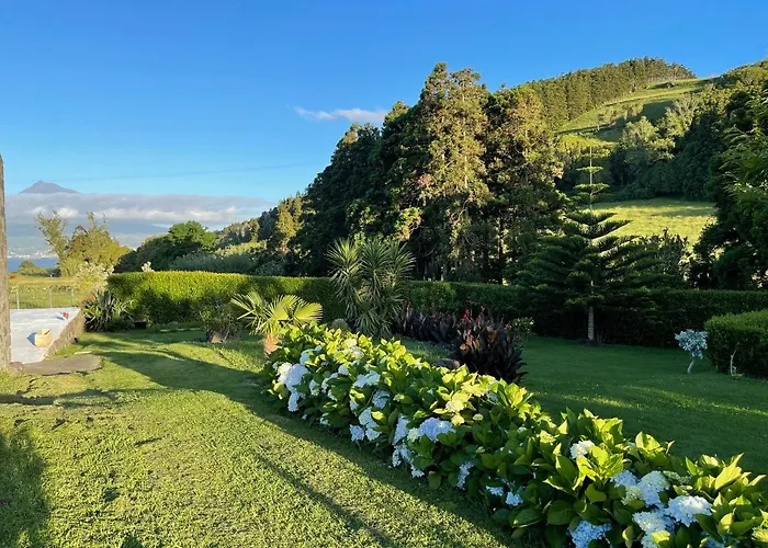 Feriehus Casa Do Bicho Pau Pedro Miguel