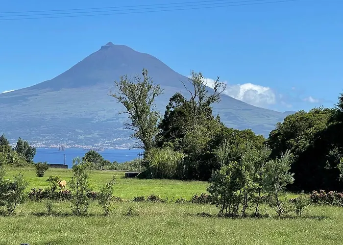 Casa Do Bicho Pau Feriehus