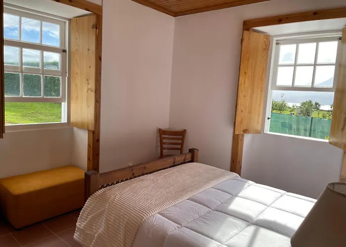 Casa Do Bicho Pau Pedro Miguel