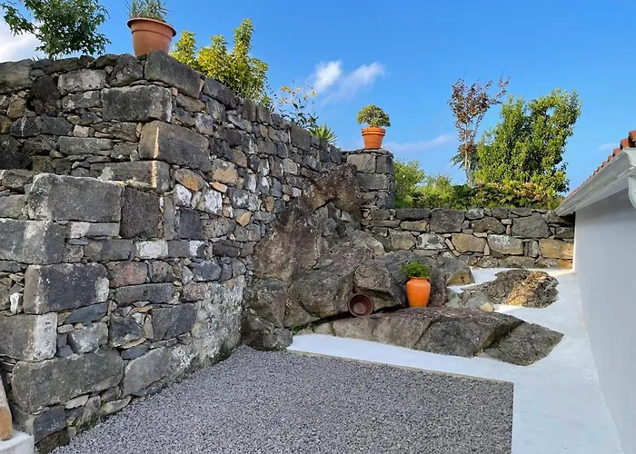 Casa Do Bicho Pau Pedro Miguel