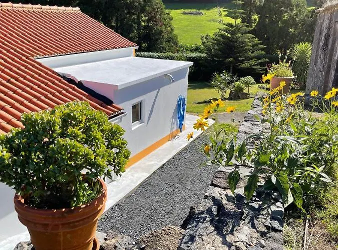 Casa Do Bicho Pau * Pedro Miguel