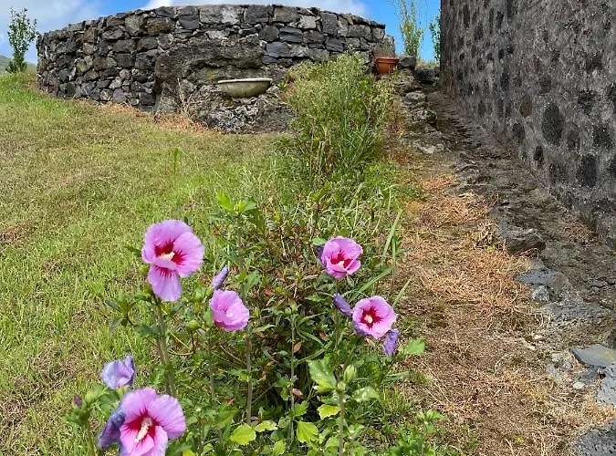 Feriehus Casa Do Bicho Pau