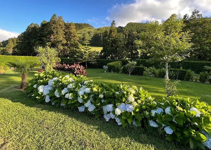 Feriehus Casa Do Bicho Pau Pedro Miguel