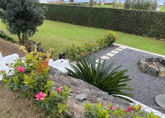 Сasa de vacaciones Casa Do Bicho Pau Pedro Miguel