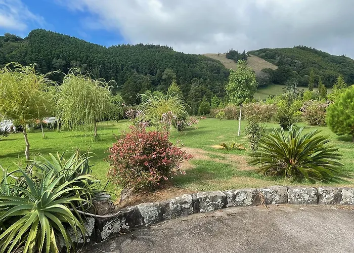 Casa Do Bicho Pau Pedro Miguel
