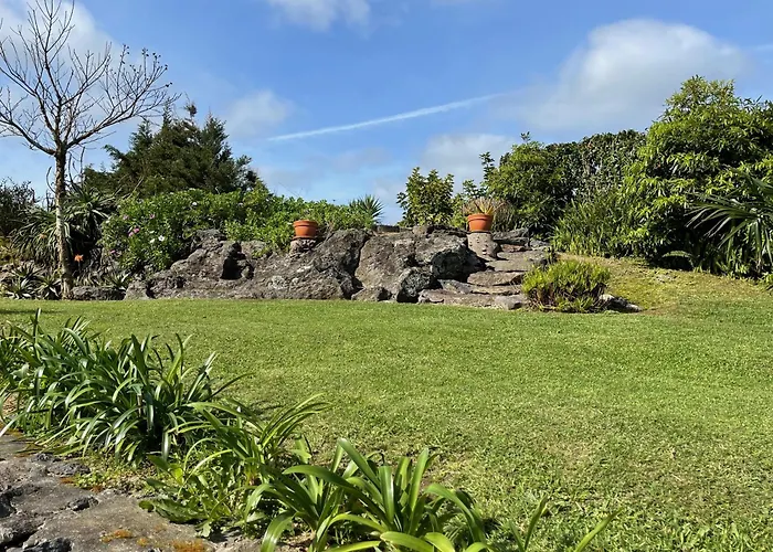 Casa Do Bicho Pau * Pedro Miguel