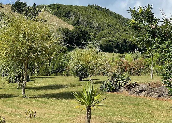 Casa Do Bicho Pau Feriehus Pedro Miguel