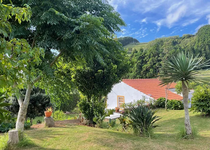 Casa Do Bicho Pau Pedro Miguel