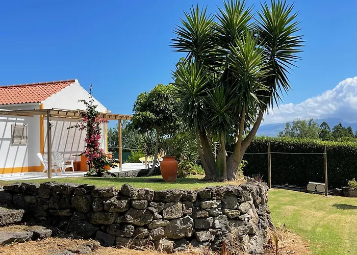 Casa Do Bicho Pau * Pedro Miguel