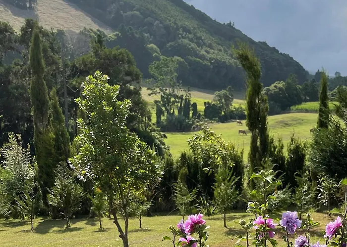 Feriehus Casa Do Bicho Pau *